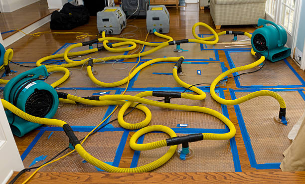 Professional Crawl Space Water Removal technician working in New Castle, AL